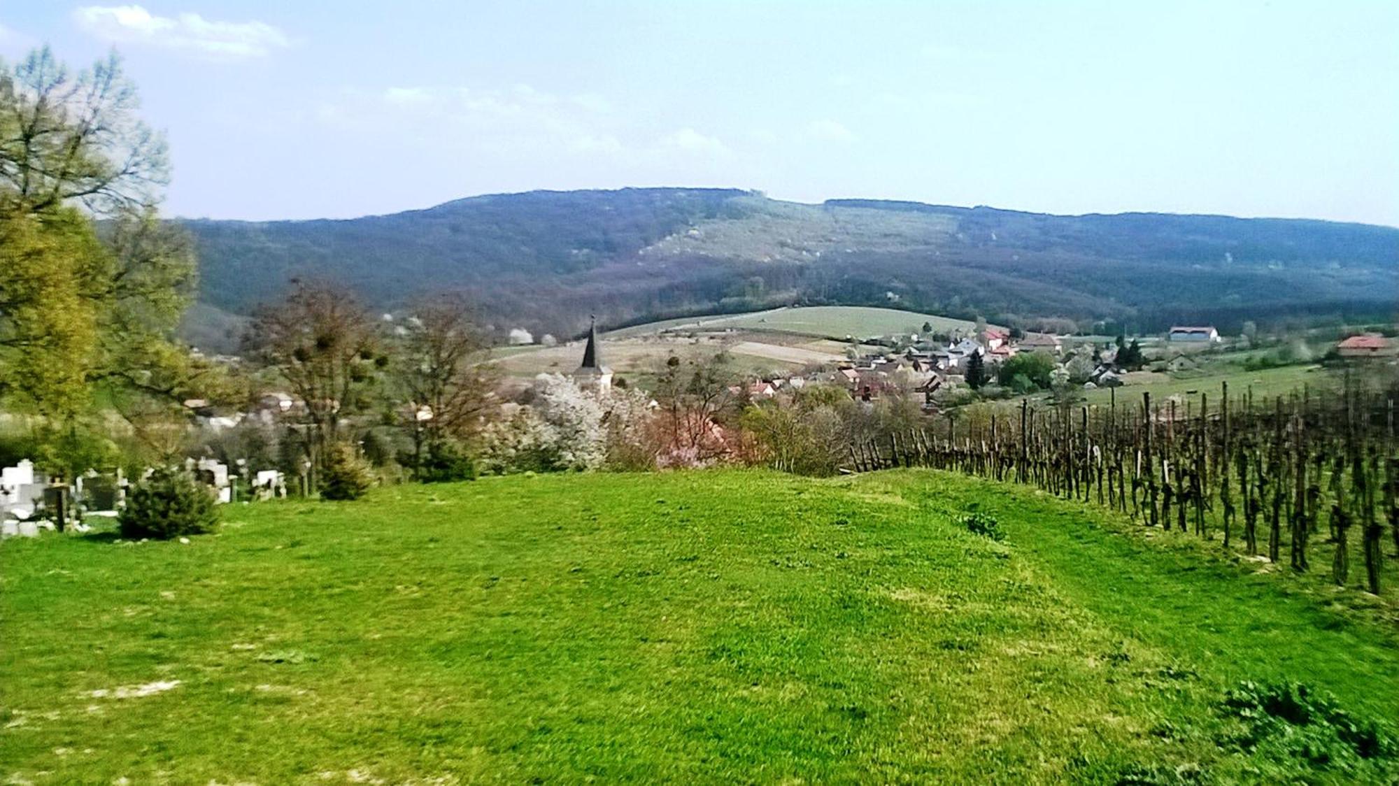 Bike Stop Duna Dunaszentmiklós Εξωτερικό φωτογραφία